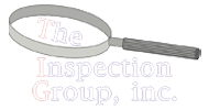 The Inspection Group Logo