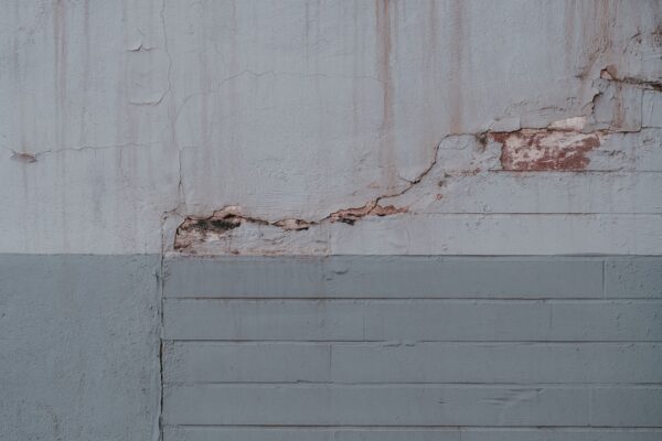 lead based paint inspection